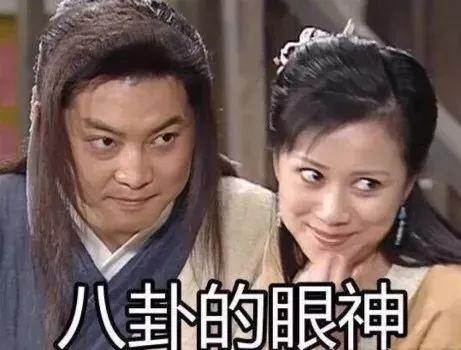 娱乐吃瓜生活小说,吃瓜群众的生活日常